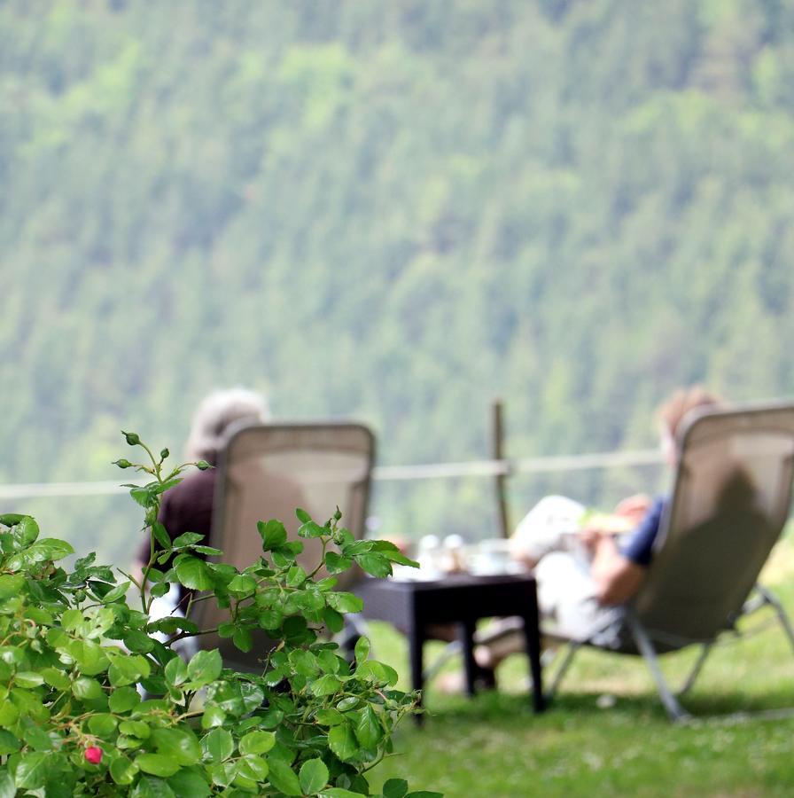 Auberge Du Col De Brouisブレイユ・シュル・ロワイヤ エクステリア 写真